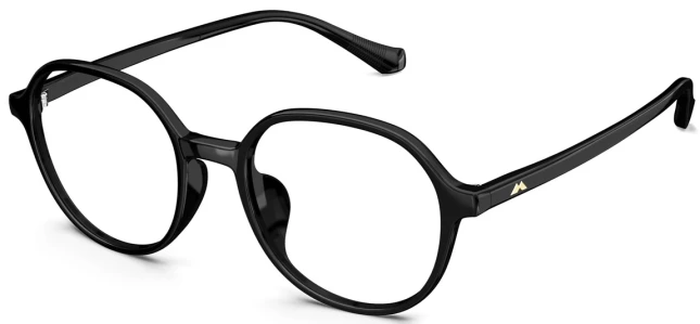 Оправы Molsion MN5001 B10
