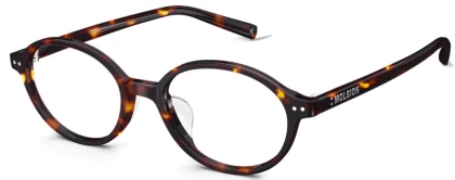 Оправы Molsion MJ3107 B22