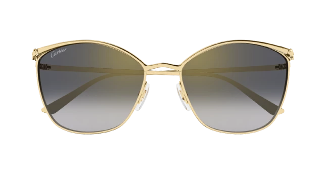 Солнцезащитные очки Cartier CT0595S 001 M21LR00470