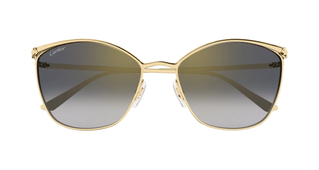 Солнцезащитные очки Cartier CT0595S 001 M21LR00430