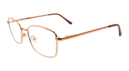 Оправы Ageless 520029 KZ04