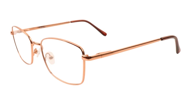 Оправы Ageless 520029 KZ04