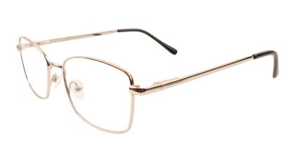 Оправы Ageless 520029 KZ03