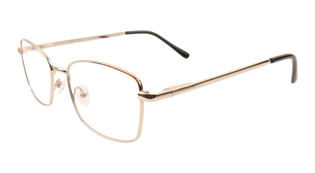 Оправы Ageless 520029 KZ03