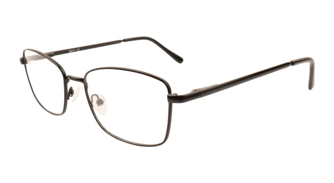 Оправы Оправа Ageless 520029 KZ01