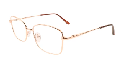 Оправы Ageless 520025 KZ03