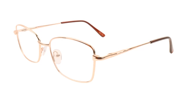 Оправы Ageless 520025 KZ03