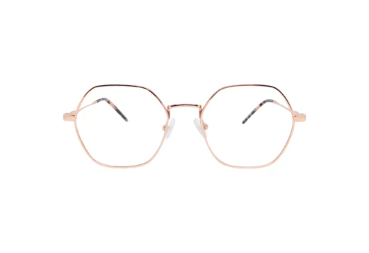 Оправы Rebus RBS-42114 С3