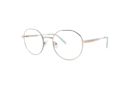 Оправы Rebus RBS-42110 С3