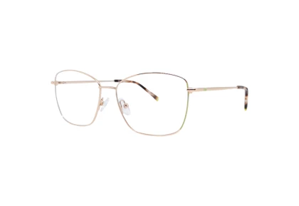 Оправы Rebus RBS-42109 C4