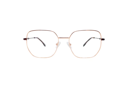 Оправы Rebus RBS-42107 C3