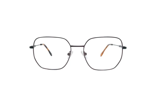 Оправы Rebus RBS-42107 C2