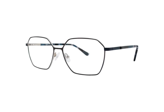 Оправы Rebus RBS-42105 C1