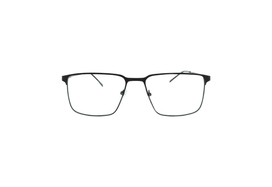 Оправы ODV 11132 C4