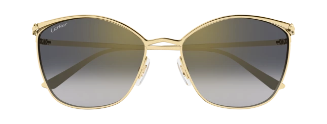 Солнцезащитные очки Cartier CT0595S 001 M21MN00230