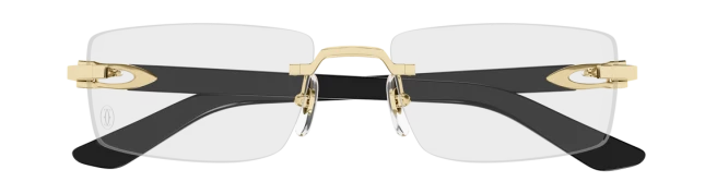 Оправы Cartier CT0581O 001 H14K55E2