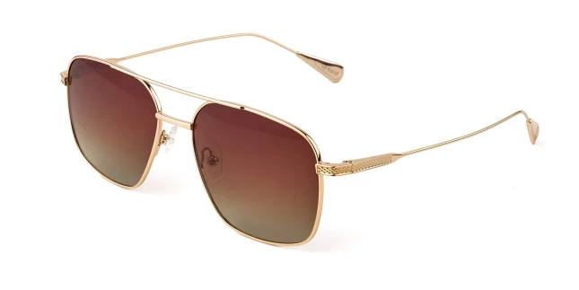 Солнцезащитные очки Baldinini BLD Gold 2625 MGMZ 602