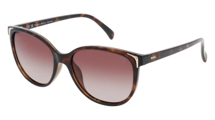 Солнцезащитные очки INVU IB 22451 D