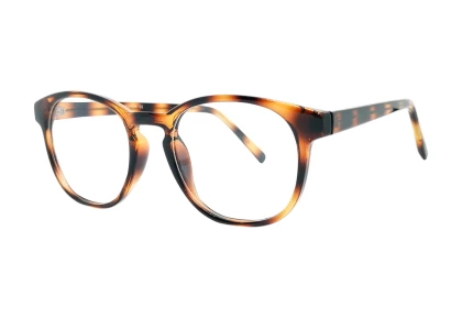 Оправы LA STELLA LSO 1109 C3