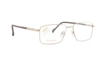 Оправы Stepper SI-60179 F010