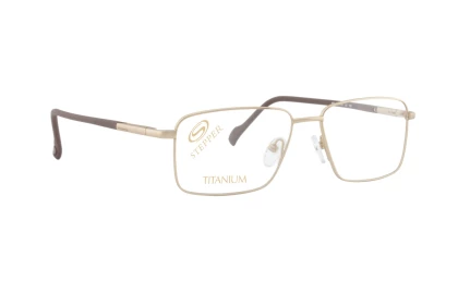 Оправы Stepper SI-60179 F010