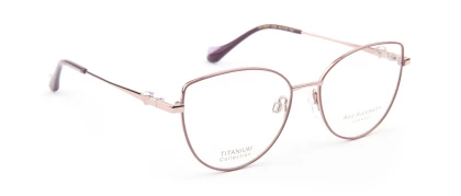 Оправы Оправа Ana Hickmann AH1603T 01B