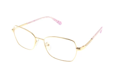 Оправы Einars I2I  L5342B-53