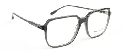 Оправы Оправа Trussardi TSM6101 T02