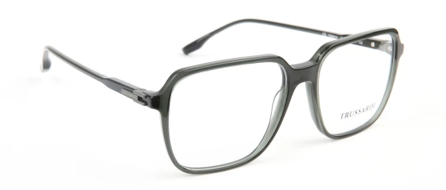 Оправы Оправа Trussardi TSM6101 T02