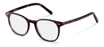 Оправы Оправа Rodenstock R5356 C