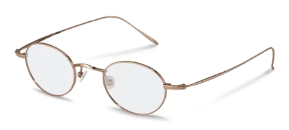 Оправы Оправа Rodenstock R4792 G