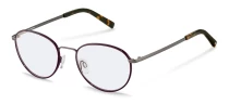 Оправы Оправа Rodenstock R2656 C