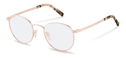 Оправы Оправа Rodenstock R2655 C