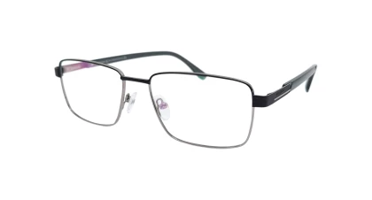 Оправы Оправа Neolook N-8113 C031