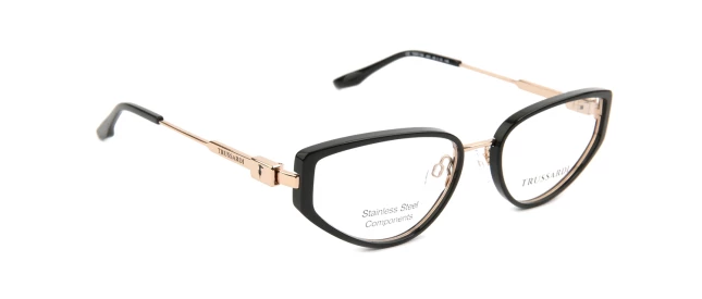 Оправы Оправа Trussardi TSW1194 A01