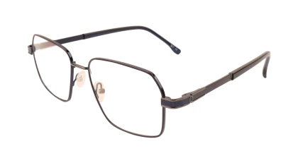 Оправы Оправа Ageless 6304 C6