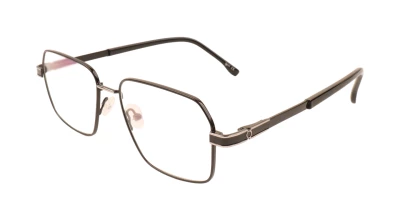 Оправы Оправа Ageless 6304 C5