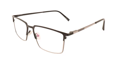 Оправы Оправа Ageless 6302 C5
