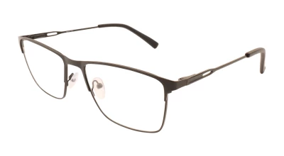 Оправы Оправа Ageless 55120 C1