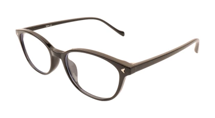 Оправы Оправа Ageless 510845 WL01