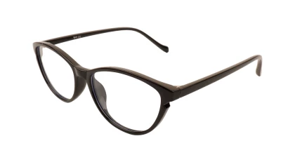Оправы Оправа Ageless 510843 WL01