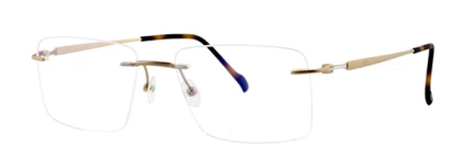 Оправы Stepper SI-83539 F010