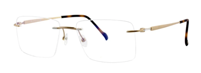 Оправы Stepper SI-83539 F010