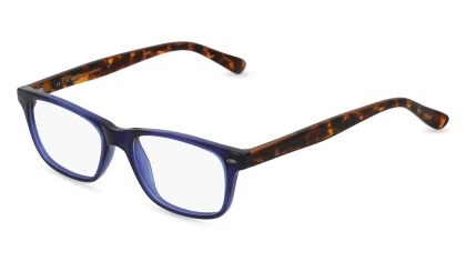 Оправы Fielmann BD 493 CL A36