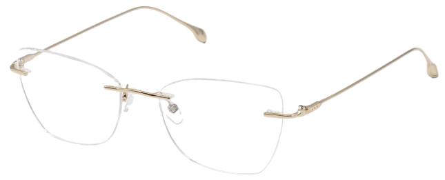 Оправы Einars I2I  L7004B-54