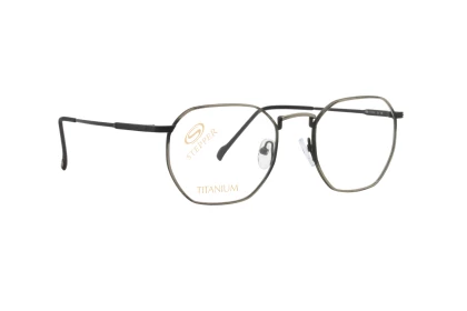 Оправы Stepper SI-60210 F029