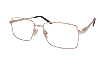 Оправы Agio AG 70270 c1