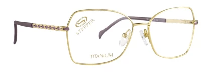 Оправы Stepper SI-50254 F013