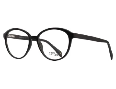 Оправы ESTILO ES1301 C11