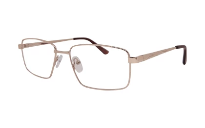 Оправы Ageless 510656 KZ01